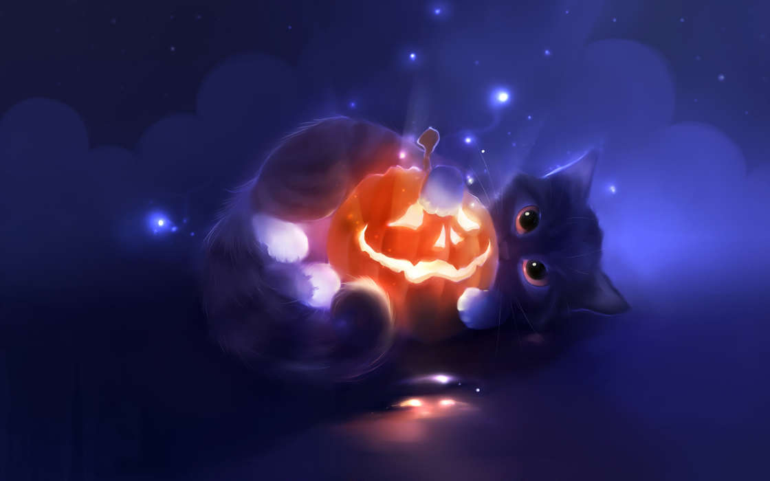 Halloween, Cats, Holidays, Pictures, Animals