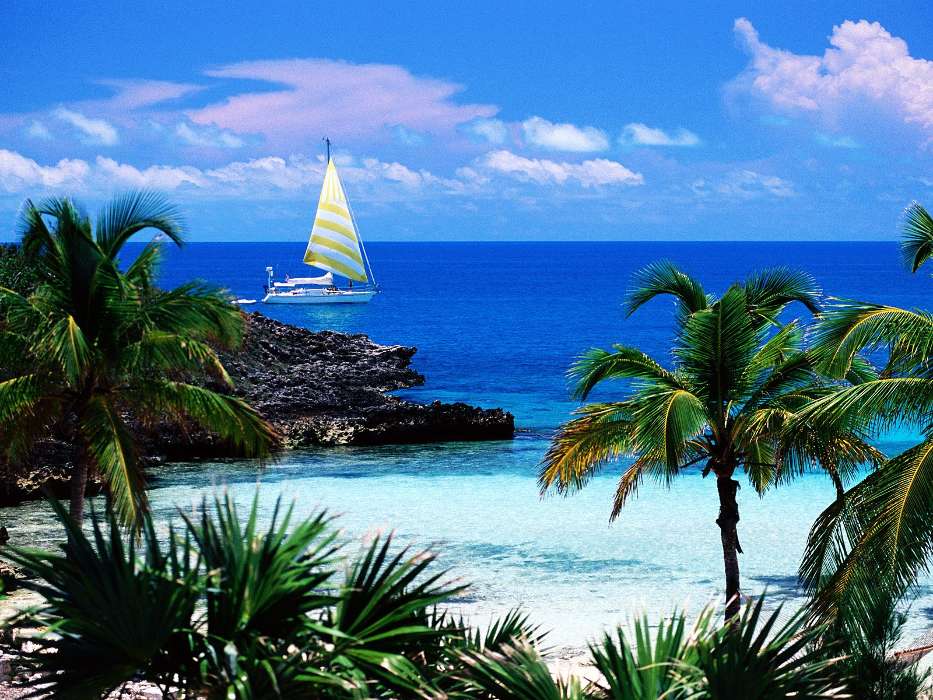Landscape, Water, Sea, Yachts, Palms