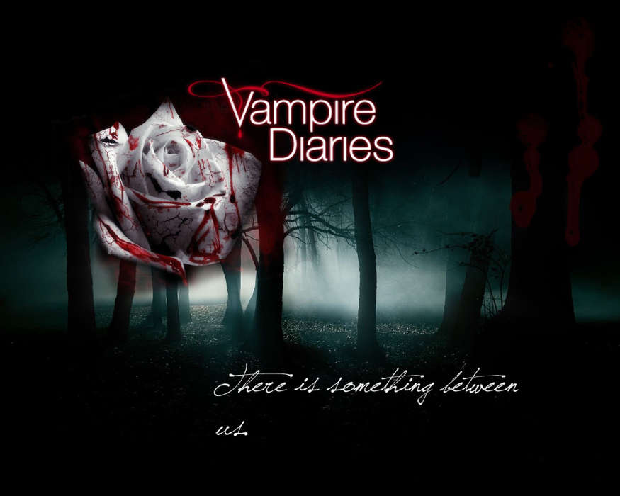 Cinema, The Vampire Diaries