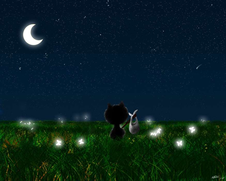 Landscape, Cats, Grass, Night, Moon, Drawings