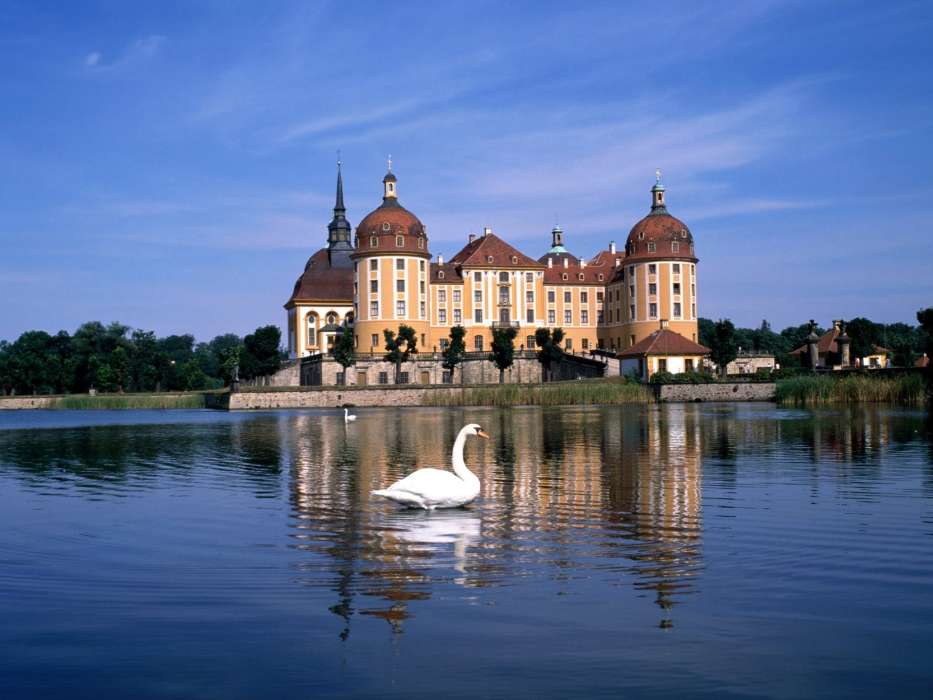 Swans,Landscape,Castles