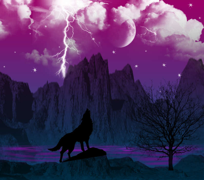Lightning, Sky, Pictures, Wolfs, Animals