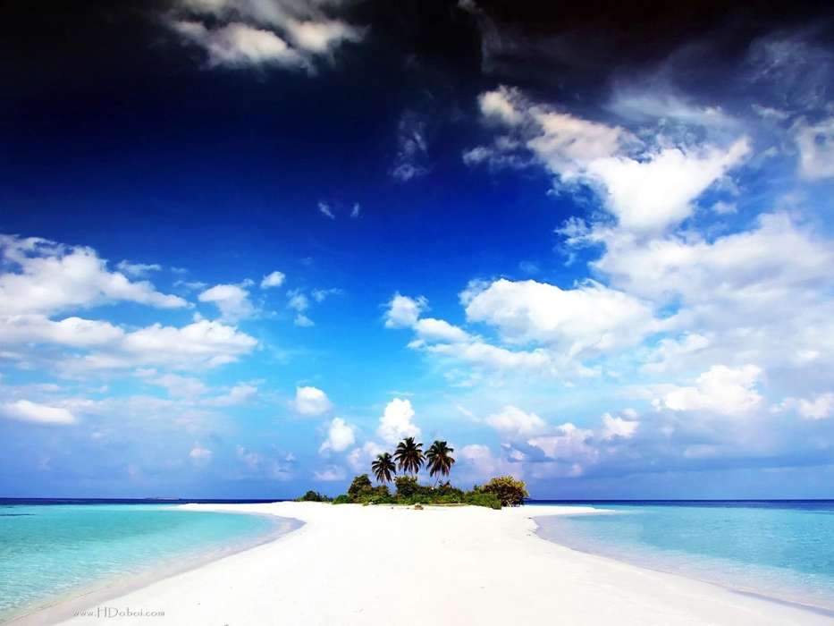 Sea, Clouds, Palms, Landscape, Sand