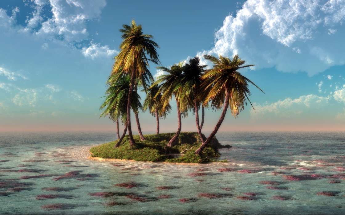 Sea,Palms,Landscape