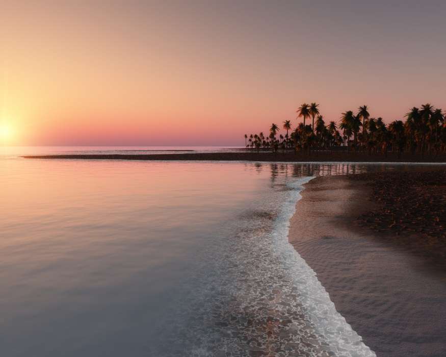 Sea, Palms, Landscape, Beach, Sunset