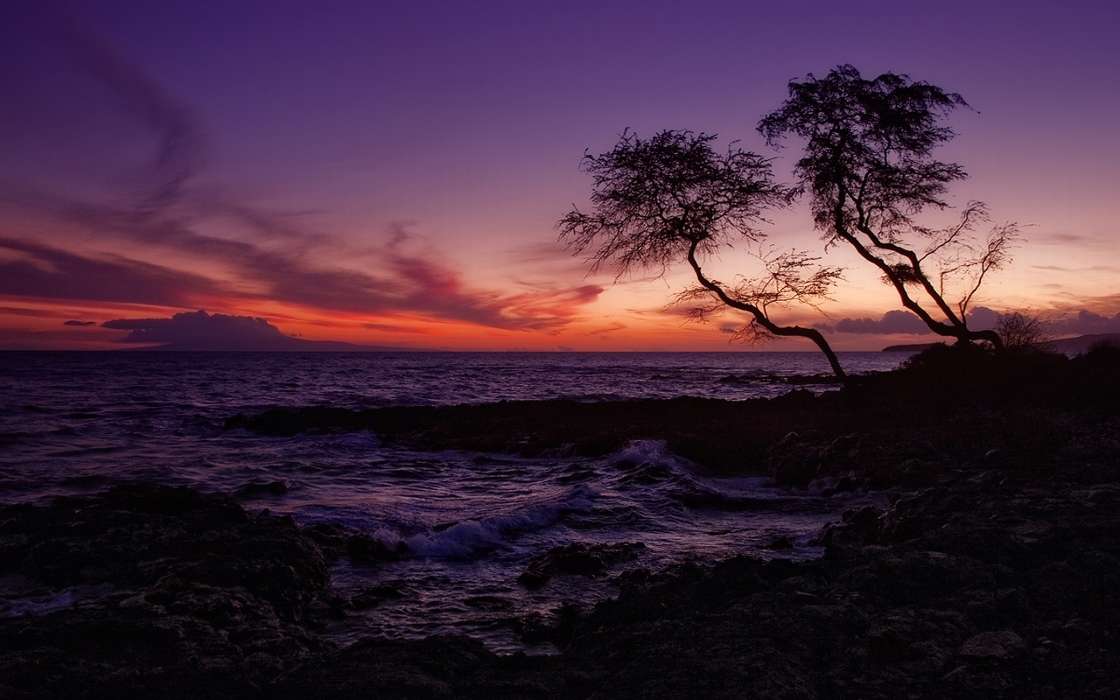 Landscape, Sunset, Sea