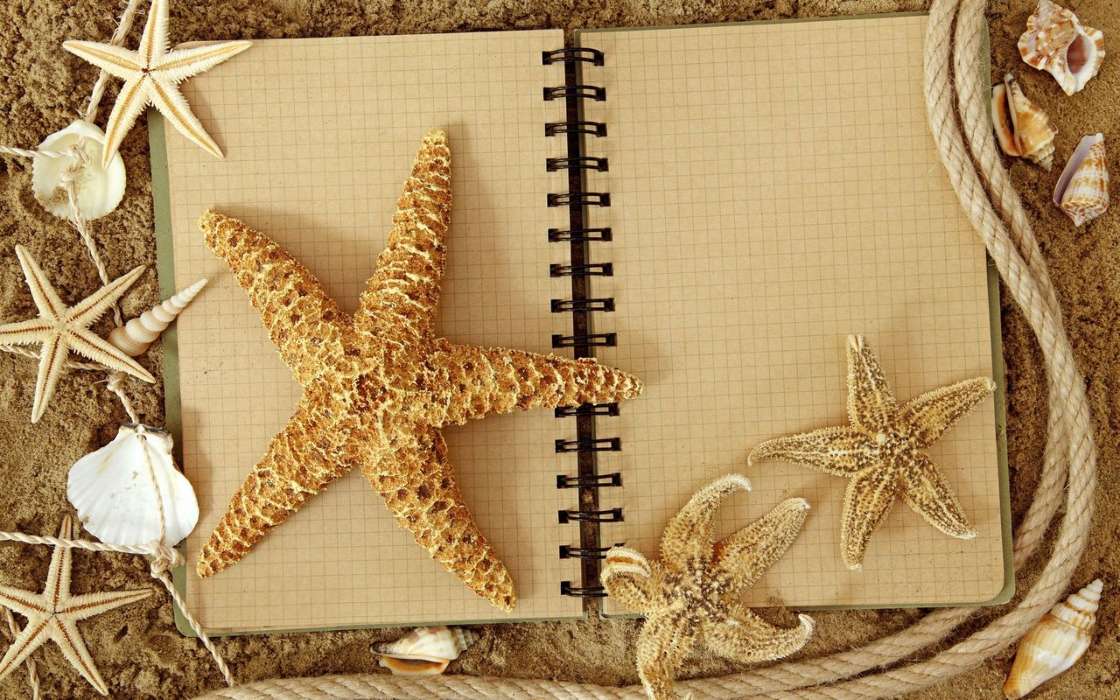 Objects, Starfish