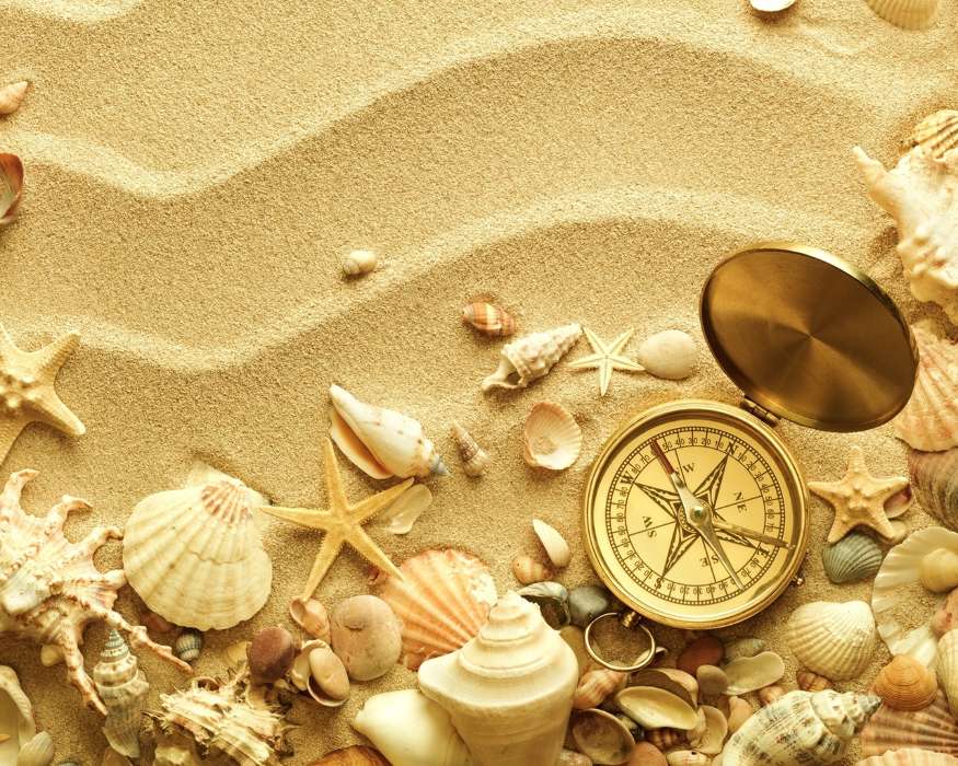 Still life, Objects, Sand, Shells