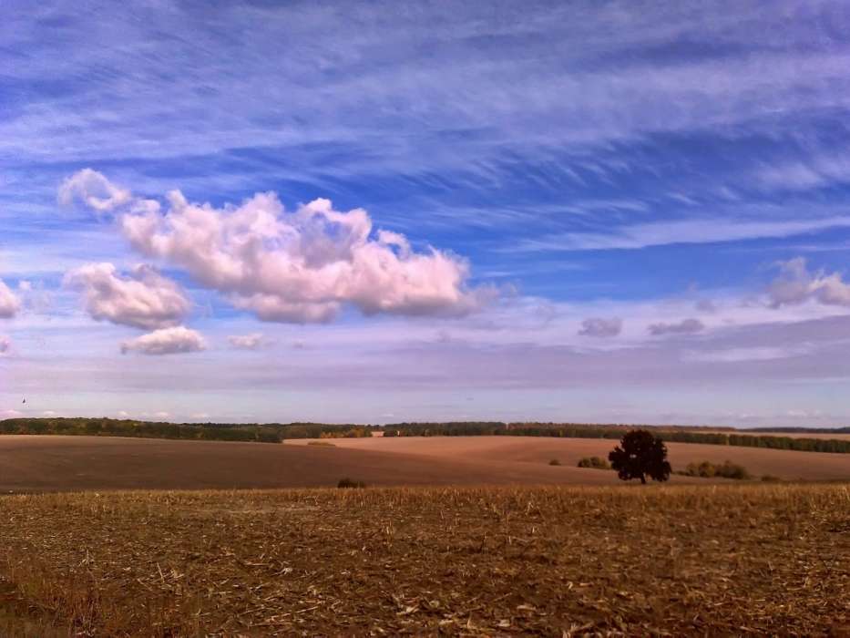 Sky, Clouds, Landscape, Fields