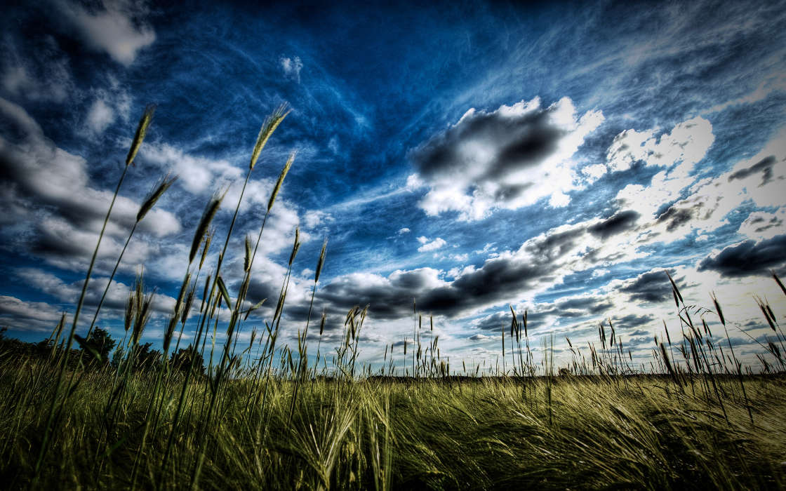 Clouds,Landscape,Fields