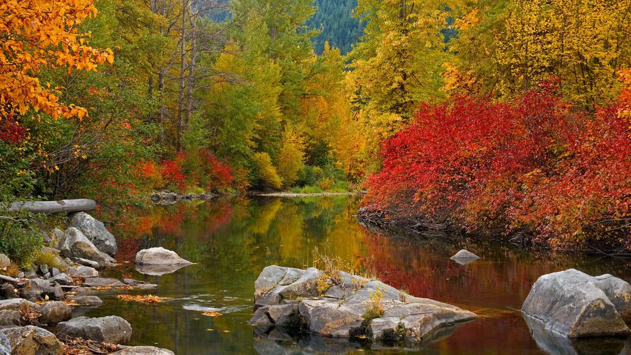 Autumn,Landscape,Rivers
