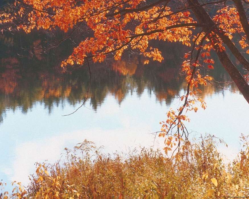 Landscape, Rivers, Autumn
