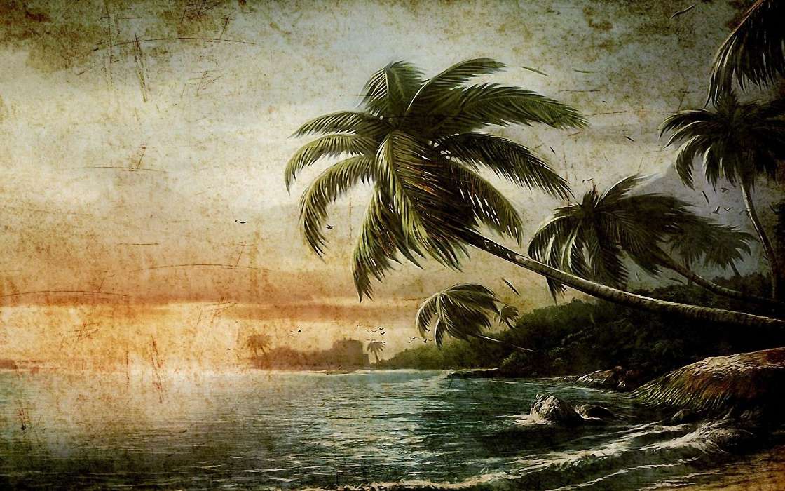 Palms,Landscape,Beach,Pictures
