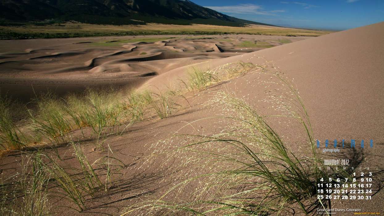 Landscape, Sand, Desert, Grass