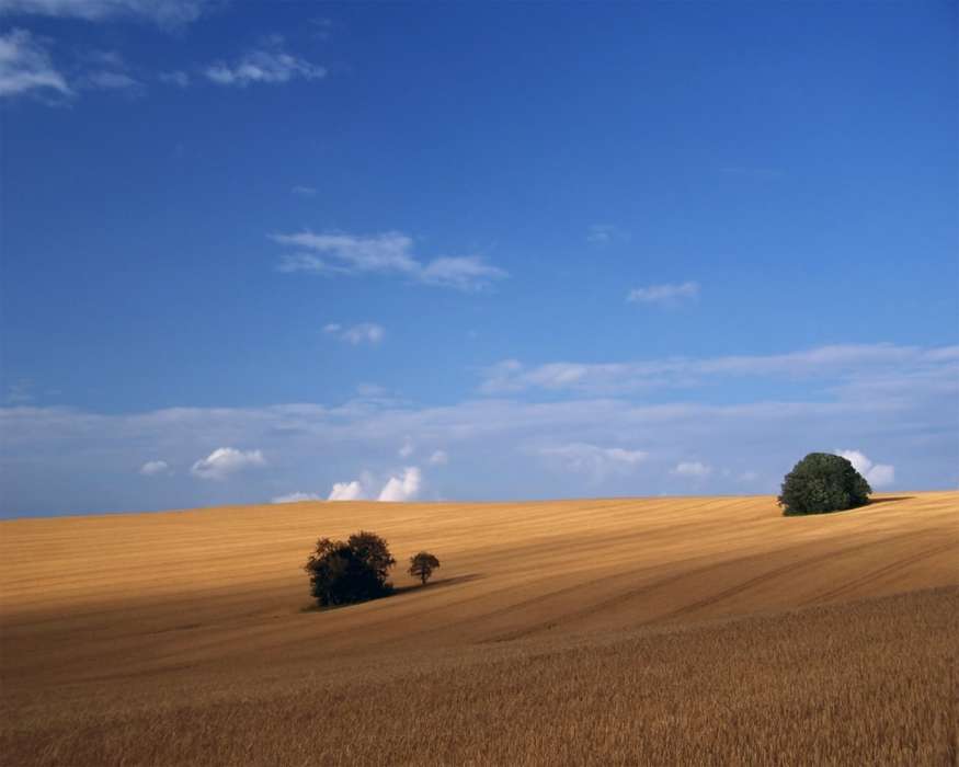 Landscape, Fields