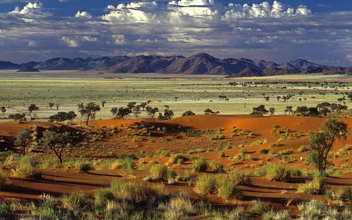 Landscape,Nature,Desert