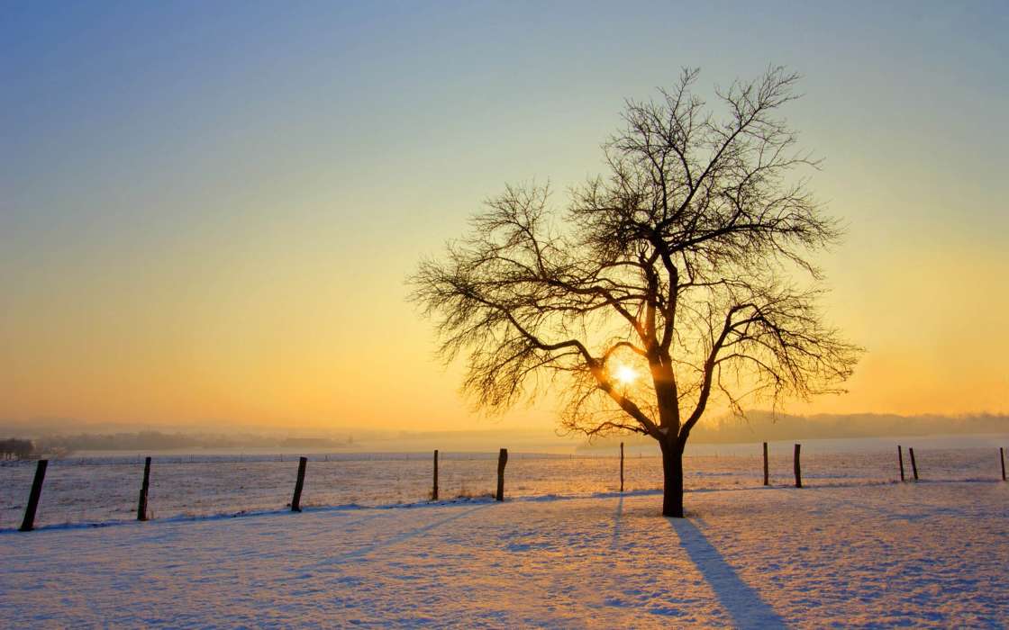 Landscape,Nature,Snow,Sunset