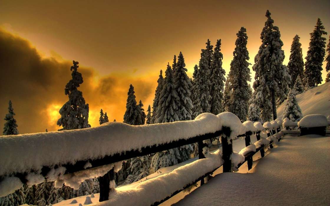 Landscape,Snow