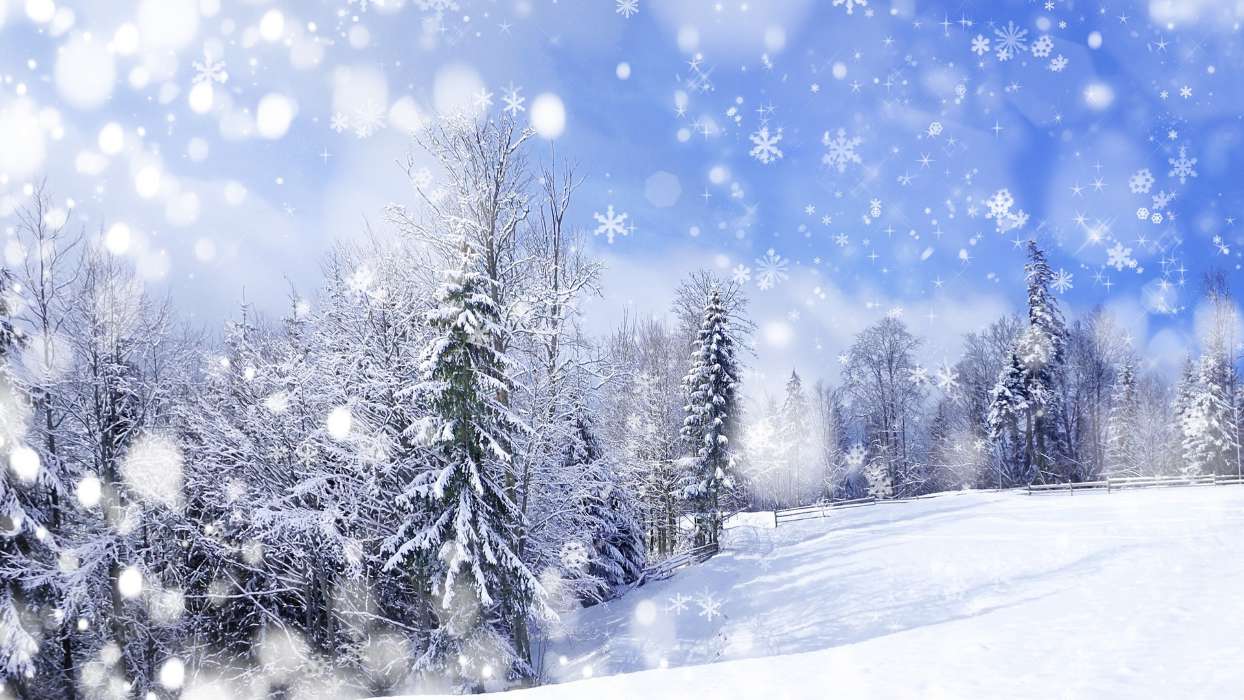 Landscape,Snow,Winter