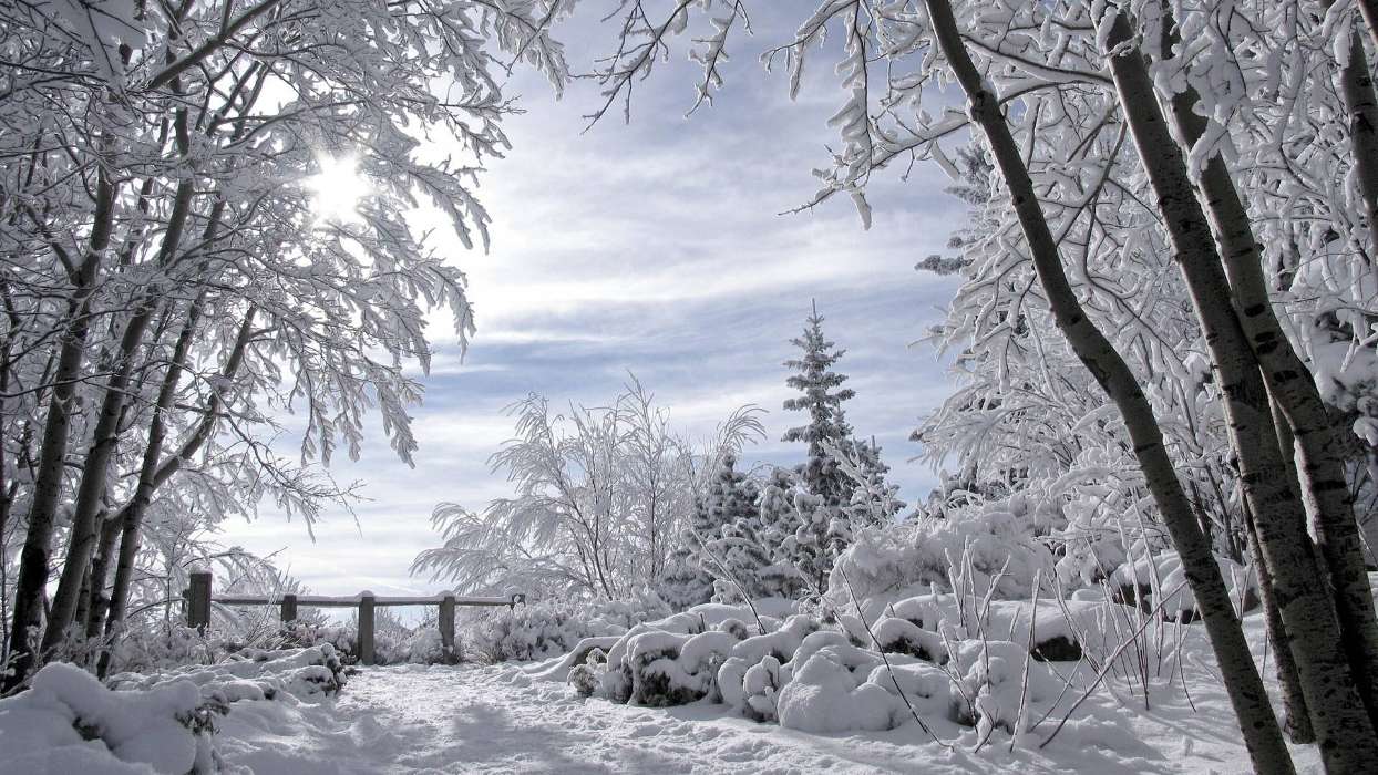 Landscape,Snow,Winter