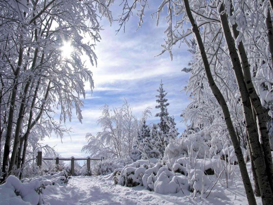 Landscape,Winter