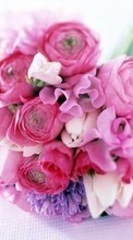 Ladda ner Holidays, Plants, Flowers, Bouquets, March 8, International Women's Day (IWD) bilden 1024x600 till mobilen.
