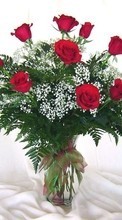 Ladda ner Holidays, Plants, Flowers, Roses, March 8, International Women's Day (IWD) bilden 540x960 till mobilen.