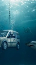 Ladda ner Humor, Auto, Sea, Sharks, Ford bilden till mobilen.