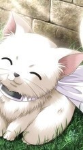 Ladda ner Anime,Cats bilden till mobilen.