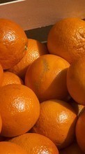 Ladda ner Fruits, Food, Backgrounds, Oranges bilden 320x240 till mobilen.