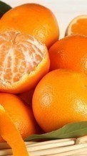 Ladda ner Oranges,Food,Fruits bilden till mobilen.