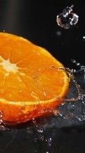 Ladda ner Oranges, Food, Fruits, Drops, Water bilden till mobilen.
