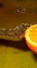 Ladda ner Fruits, Water, Food, Oranges, Drops bilden 320x480 till mobilen.