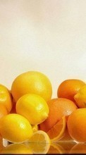 Ladda ner Fruits, Food, Lemons, Oranges bilden till mobilen.