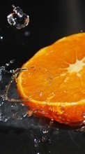 Ladda ner Oranges, Food, Fruits, Water bilden till mobilen.