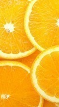 Ladda ner Oranges, Background bilden till mobilen.