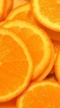 Ladda ner Fruits, Backgrounds, Oranges bilden 320x240 till mobilen.
