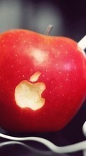 Ladda ner Apple,Apples,Food,Objects bilden till mobilen.