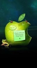Ladda ner Apple, Brands, Background bilden till mobilen.