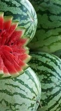 Ladda ner Plants, Fruits, Food, Watermelons bilden till mobilen.