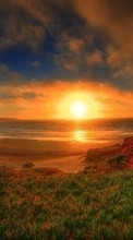 Ladda ner Landscape, Sunset, Grass, Sky, Art, Sun bilden 800x480 till mobilen.