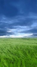 Ladda ner Landscape, Grass, Sky, Art bilden 128x160 till mobilen.