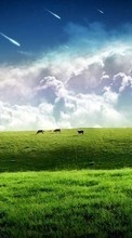 Ladda ner Landscape, Grass, Sky, Art bilden 320x240 till mobilen.