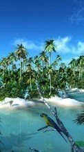 Landscape, Water, Art, Parrots, Palms