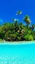 Landscape, Water, Trees, Sky, Sea, Art photo, Palms till Google Pixel 4A