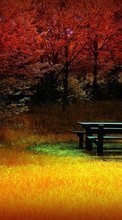 Ladda ner Landscape, Trees, Autumn, Art photo bilden 1024x768 till mobilen.