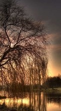 Ladda ner Landscape, Rivers, Trees, Sunset, Art photo bilden 1080x1920 till mobilen.