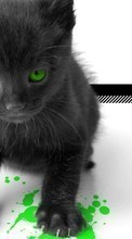 Ladda ner Animals, Cats, Art photo bilden 1080x1920 till mobilen.
