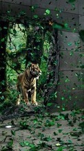 Ladda ner Animals, Art photo, Tigers bilden 240x400 till mobilen.