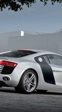 Ladda ner Transport, Auto, Audi bilden 1280x800 till mobilen.